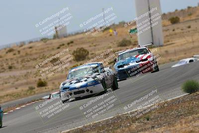 media/May-03-2025-Lucky Dog Racing (Sat) [[206de64b9d]]/Turn 6 (150pm-230pm)/